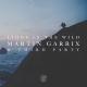 Martin Garrix, Third Party - Lions in the Wild