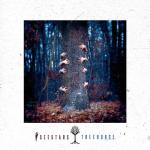 album image Portals Treehouse