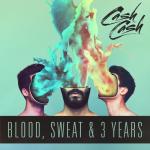 album image Hero (feat. Cash Cash) Blood, Sweat & 3 Years