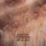 album image Familiar Citizen of Glass
