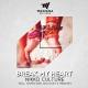 Nikko Culture - Break My Heart