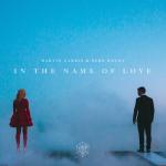 album image In the Name of Love In the Name of Love - Single