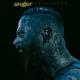 Skillet - Undefeated