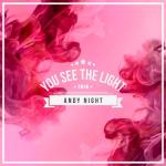 album image YOU SEE THE LIGHT! Andy Night - You See the Light - Single