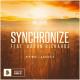 Hellberg, Aaron Richards - Synchronize