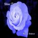Maria Daines - Blue Tattoo