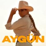 album image Bir Payız Gecəsi AYGÜN