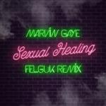 album image Sexual Healing Sexual Healing (Felguk Remix) - Single