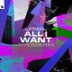 Alok, Liu feat. Stonefox - All I Want