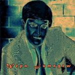 album image Dolanay( RMX )