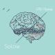 Solow - Lily