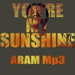 album image You are my sunshine You're My Sunshine (feat. The Sunside Band) - Single