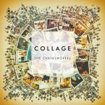 album image Setting Fires Collage - EP