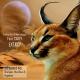 Andrey Exx, Max Lyazgin, Casey - Extasy (Sharapov Remix)