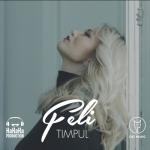 album image Timpul Timpul - Single