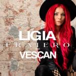 album image Fraiero (ft. Vescan) Fraiero (feat. Vescan) - Single