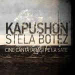 album image Cine cântă iarăși pe la sate Cine Canta Iarasi Pe la Sate (feat. Stela Botez) - Single