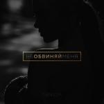 album image Не обвиняй меня Не обвиняй меня - Single