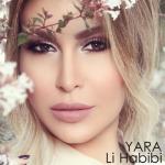 album image Li Habibi لي حبيبي - Single