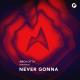 Arc North - Never Gonna