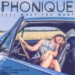 album image Feel What You Want Feel What You Want (feat. Rebecca) [Remixes] - Single