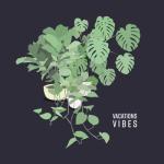 album image Young Vibes - EP