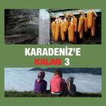 album image Duy Sesimi Karadeniz'e Kalan, Vol. 3