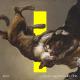 EIMIC - Animal Fight Club (Part 2)