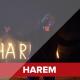 Young Zerka - Harem (2017)