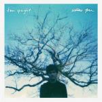 album image Willow Tree Willow Tree - EP
