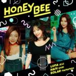album image Honey Bee HONEY BEE - Single