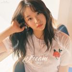 album image Dream (inst) Dream - Single