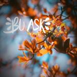 album image Bu Aşk Bu Aşk - Single