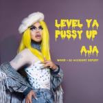 album image Level Ya Pussy Up Level Ya Pussy Up (feat. WNNR & DJ Accident Report) - Single
