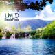 IMD - Bajo la planta