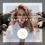 album image Shape Of You... Shape of You (feat. Romy Wave) - Single