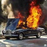 album image Feel It Still Woodstock