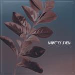 album image Minnet Eyleme (trap) Minnet Eylemem - Single