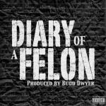 album image Soul Diary of a Felon