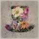 Adam Husa, Manny Denolas - Midnight