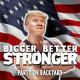 Bigger Better Stronger - Animation meme