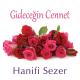 Hanifi Sezer - Canım Anam