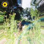 album image Sunflower Sunflower - Single