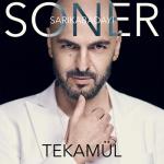 album image Tekamül Tekamül - Single