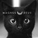Magnus Deus - Day at Night