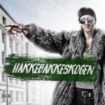album image Hakkebakkeskogen 2017 Hakkebakkeskogen 2017 - Single