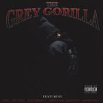 album image NANANANANA Grey Gorilla