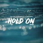 album image Hold On Hold On (Remix) - Single