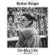 Bishop Briggs - The Way I Do