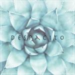 album image Despacito Despacito - Single